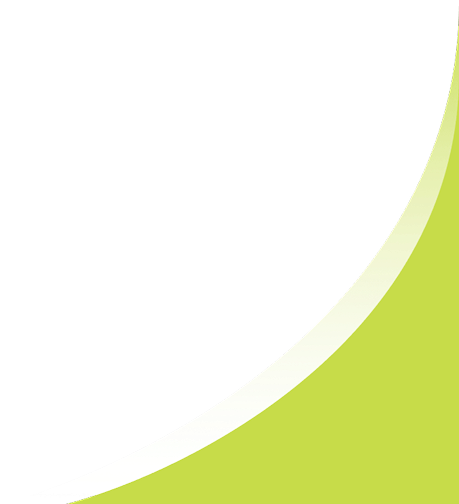 Banner Decor Shape